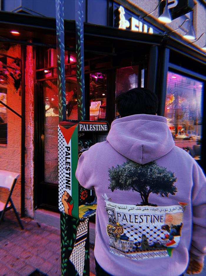 Palestine hoodie